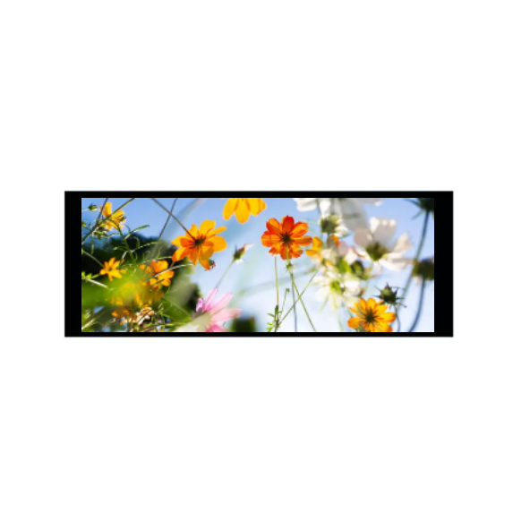 6,86 hazbeteko 480 × 1280 IPS TFT modulua